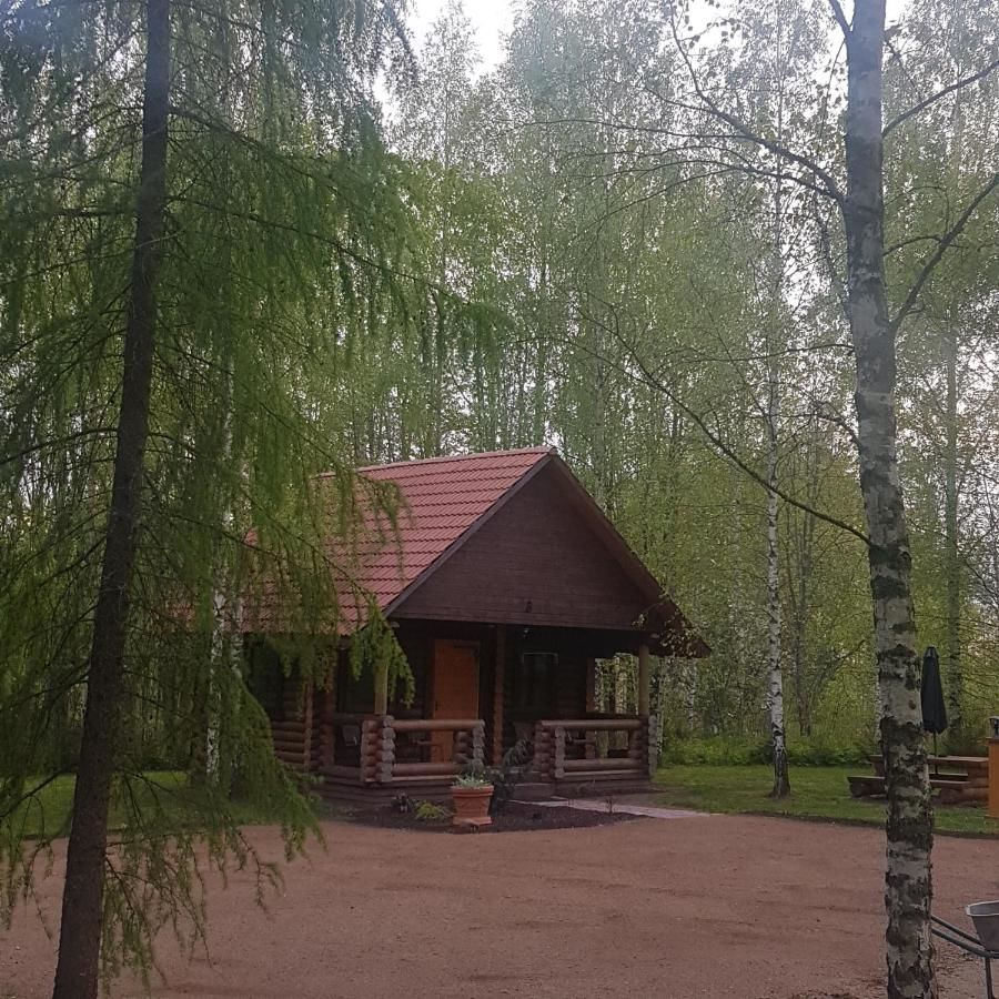 Кемпинги Eco-friendly Camping Oskalns Цесис-18