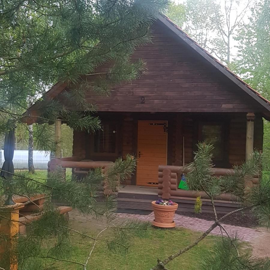 Кемпинги Eco-friendly Camping Oskalns Цесис-7